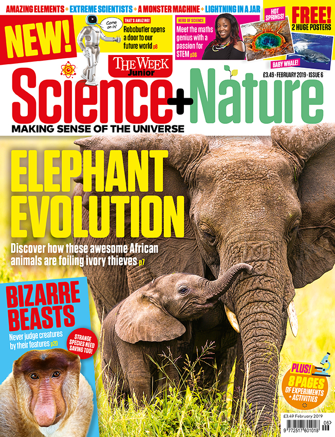 Science+Nature issue 6