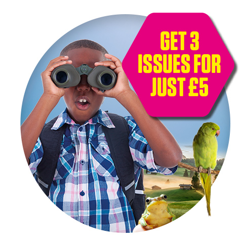 Boy looking through binoculars and 3 for £5 flash