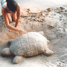 sand sculpture of a turtle on a beach