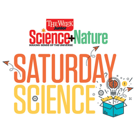 Saturday Science Newsletter logo square